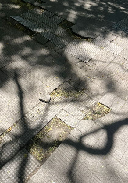 Veredas deterioradas